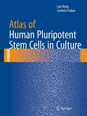 Atlas of Human Pluripotent Stem Cells in Culture (eBook, PDF)