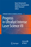 Progress in Ultrafast Intense Laser Science VII (eBook, PDF)