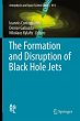 The Formation and Disruption of Black... - Bild 1