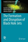 The Formation and Disruption of Black Hole Jets (eBook, PDF)
