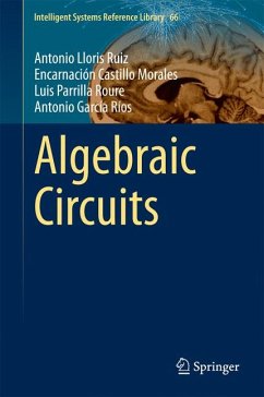 Algebraic Circuits (eBook, PDF) - Lloris Ruiz, Antonio; Castillo Morales, Encarnación; Parrilla Roure, Luis; García Ríos, Antonio