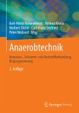 Anaerobtechnik (eBook, PDF)