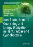 Non-Photochemical Quenching and Energy Dissipation in Plants, Algae and Cyanobacteria (eBook, PDF)