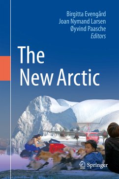 The New Arctic (eBook, PDF)