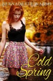 Cold Spring (eBook, ePUB)