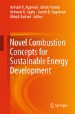 Novel Combustion Concepts for Sustainable Energy Development (eBook, PDF)