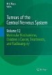 Tumors of the Central Nervous System,... - Bild 1