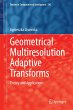 Geometrical Multiresolution Adaptive... - Bild 1