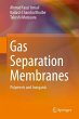 Gas Separation Membranes (eBook, PDF) - Bild 1