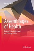 Assemblages of Health (eBook, PDF)