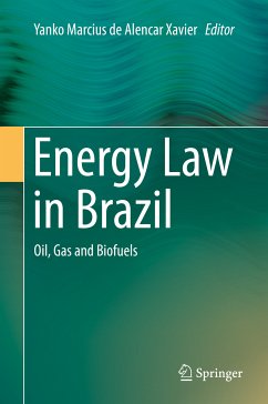 Energy Law in Brazil (eBook, PDF)