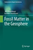Fossil Matter in the Geosphere (eBook, PDF)