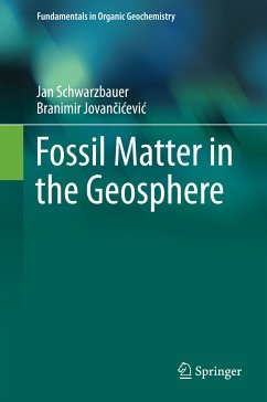 Fossil Matter in the Geosphere (eBook, PDF) - Schwarzbauer, Jan; Jovancicevic, Branimir