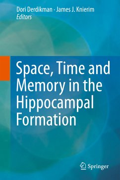 Space,Time and Memory in the Hippocampal Formation (eBook, PDF)