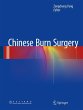 Chinese Burn Surgery (eBook, PDF) - Bild 1
