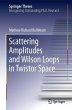 Scattering Amplitudes and Wilson Loops... - Bild 1