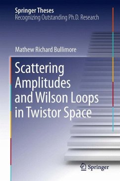 Scattering Amplitudes and Wilson Loops in Twistor Space (eBook, PDF) - Bullimore, Mathew Richard