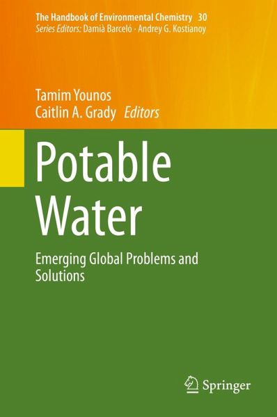 Potable Water (eBook, PDF)