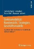 Elektromobilität: Kundensicht, Strategien, Geschäftsmodelle (eBook, PDF)