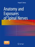 Anatomy and Exposures of Spinal Nerves (eBook, PDF)