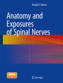 Anatomy and Exposures of Spinal Nerves (eBook, PDF) - Hanna, Amgad S.