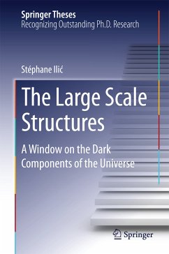 The Large Scale Structures (eBook, PDF) - Ilić, Stéphane