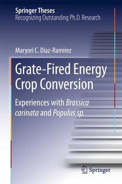 Grate-Fired Energy Crop Conversion (eBook, PDF) - Díaz-Ramírez, Maryori C.