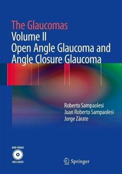 The Glaucomas (eBook, PDF) - Sampaolesi, Roberto; Sampaolesi, Juan Roberto; Zárate, Jorge