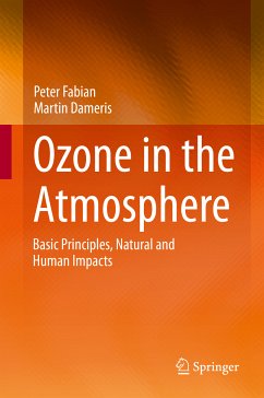 Ozone in the Atmosphere (eBook, PDF) - Fabian, Peter; Dameris, Martin
