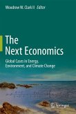 The Next Economics (eBook, PDF)