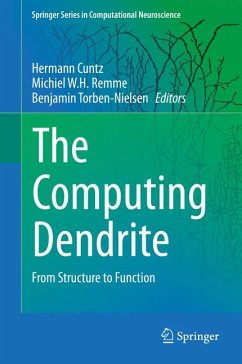 The Computing Dendrite (eBook, PDF)