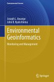 Environmental Geoinformatics (eBook, PDF)