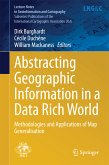 Abstracting Geographic Information in a Data Rich World (eBook, PDF)