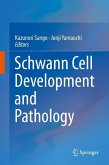 Schwann Cell Development and Pathology (eBook, PDF)