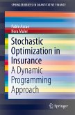 Stochastic Optimization in Insurance (eBook, PDF)