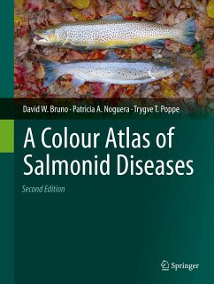 A Colour Atlas of Salmonid Diseases (eBook, PDF) - Bruno, David W.; Noguera, Patricia A.; Poppe, Trygve T.