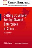 Setting Up Wholly Foreign Owned Enterprises in China (eBook, PDF)
