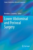 Lower Abdominal and Perineal Surgery (eBook, PDF)