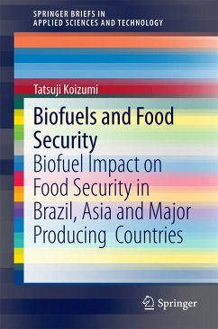 Biofuels and Food Security (eBook, PDF) - Koizumi, Tatsuji