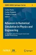 Advances in Numerical Simulation in... - Bild 1