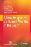 A New Perspective on Human Mobility in the South (eBook, PDF)