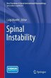 Spinal Instability (eBook, PDF) - Bild 1