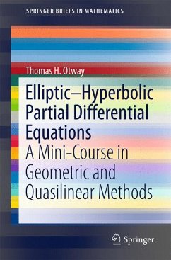 Elliptic–Hyperbolic Partial Differential Equations (eBook, PDF) - Otway, Thomas H.