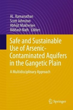 Safe and Sustainable Use of Arsenic-Contaminated Aquifers in the Gangetic Plain (eBook, PDF)