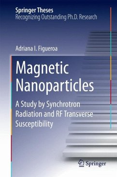 Magnetic Nanoparticles (eBook, PDF) - Figueroa, Adriana I.