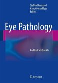 Eye Pathology (eBook, PDF)