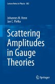 Scattering Amplitudes in Gauge Theories (eBook, PDF)