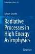 Radiative Processes in High Energy... - Bild 1