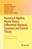 Numerical Algebra, Matrix Theory, Differential-Algebraic Equations and Control Theory (eBook, PDF)