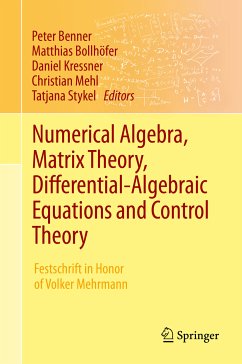 Numerical Algebra, Matrix Theory, Differential-Algebraic Equations and Control Theory (eBook, PDF)